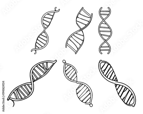 DNA double helix set with sleek modern lines on white background featuring vector, geometric, icon with biotechnology and illustration