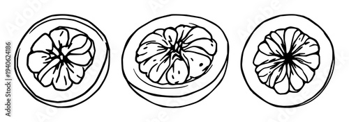 Passion fruit set with graphic vector illustration featuring half, pulp, and seed detail with minimalist food art and white background