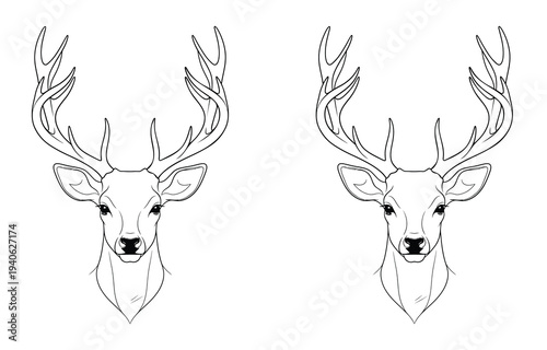 Detailed line drawing of two deer heads with large antlers