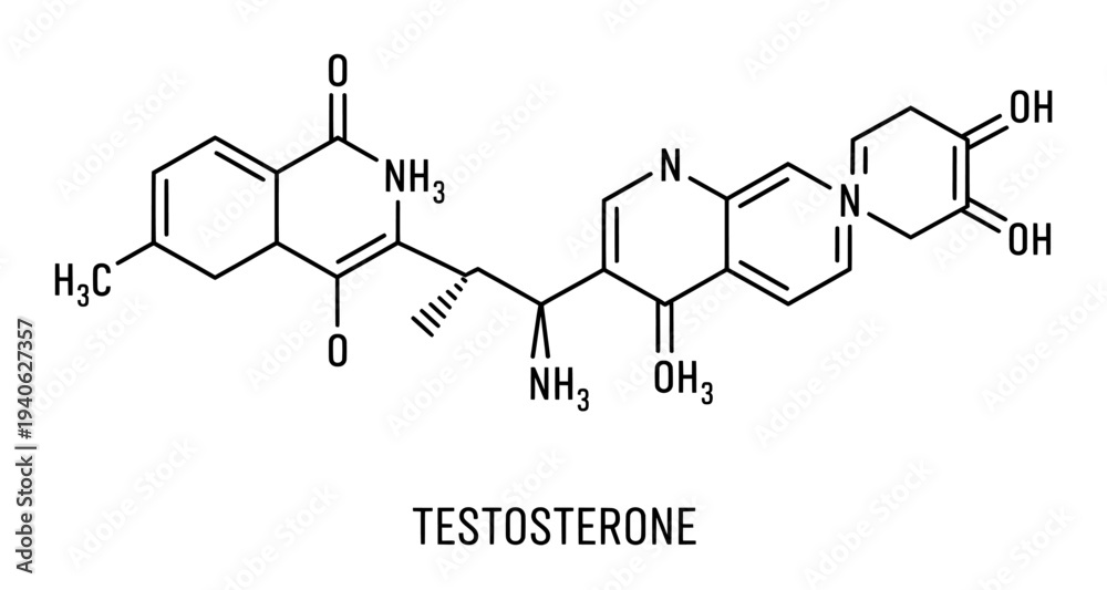 Fototapeta premium Testosterone chemical structure diagram representing male hormone 