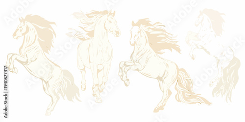 Four elegant horses illustrated in a light sketch like style