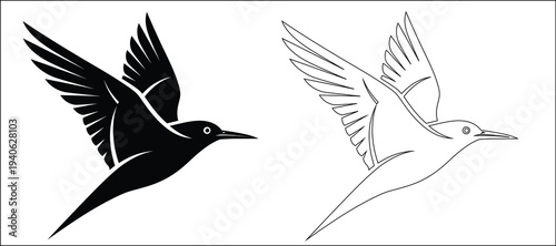 A black bird in flight alongside a sketched version of the same bird in mid air