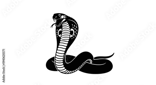 King cobra snake vector illustration, black and white serpent mascot with flared hood, aggressive reptile silhouette for logo design