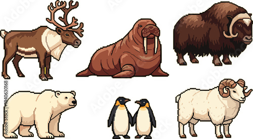 Arctic Animals Collection Vector Illustration Featuring Reindeer, Walrus, Musk Ox, Polar Bear, Penguins and Ram Wildlife Characters