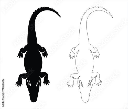 Silhouette and x ray of an alligator or crocodile