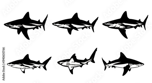 Shark silhouette vector set, 6 black and white shark illustrations, predatory sea fish icons for marine conservation and ocean branding