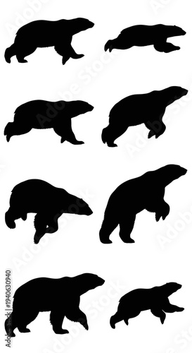 Polar bear silhouette collection, 8 black bear vector elements in various poses, arctic wildlife animal silhouettes for nature design and conservation