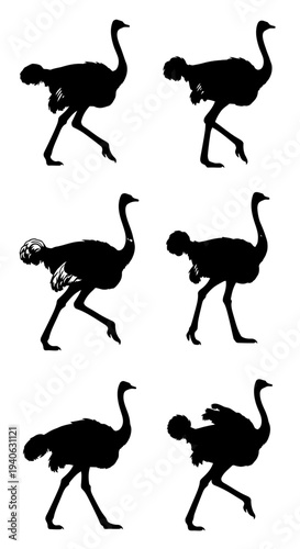 Ostrich silhouette collection, set of 6 black bird vector icons. African flightless bird walking and standing poses. Wildlife animal graphic elements.