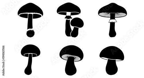 Black mushroom silhouette collection, set of 6 fungal icons, minimalist forest fungi vector elements, edible and poisonous mushroom shapes