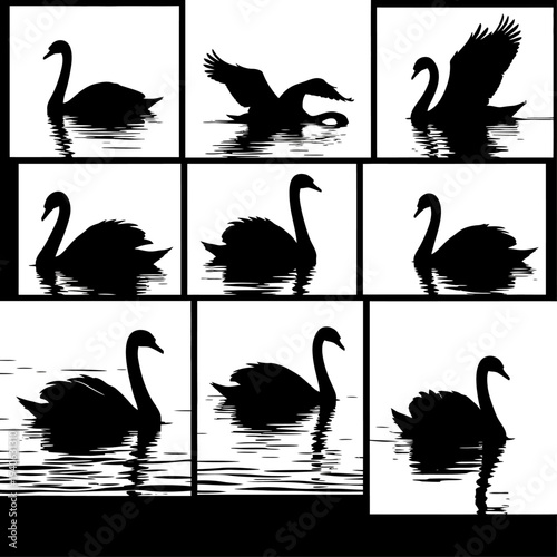 Black swan silhouette collection, set of 9 elegant bird vector icons, graceful waterfowl swimming and flying shapes on white background