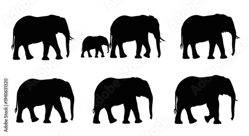 African elephant silhouette collection, set of 6 wild animal vector shapes, walking elephant family and calf silhouettes on white background
