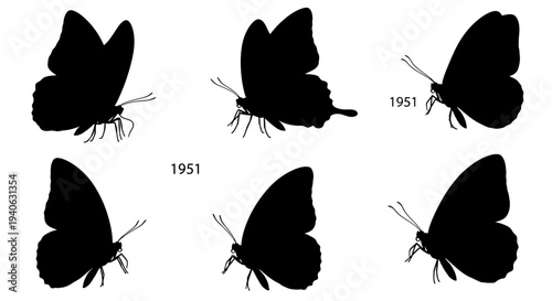 Black butterfly silhouette collection, set of 6 vintage insect illustrations from 1951, decorative nature vector elements for graphic design