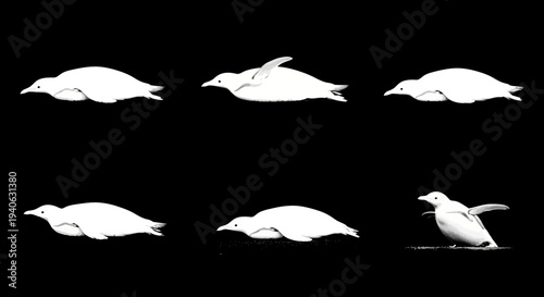 Minimalist penguin silhouette collection, white aquatic bird icons on black background, set of 6 swimming and sliding penguin vectors