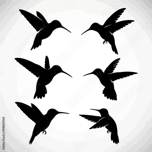 Hummingbird silhouette vector set, 6 black bird icons in flight, minimalist colibri flying poses, nature wildlife design elements