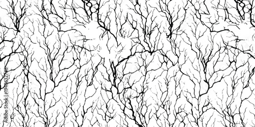 A dense, abstract pattern of black branching lines on a white background, suggesting natural growth structures like trees or coral