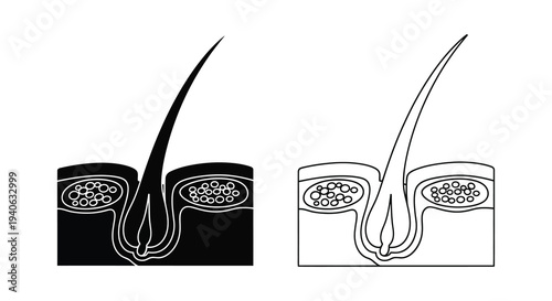 Detailed illustration of hair follicles and structure black and white silhouette