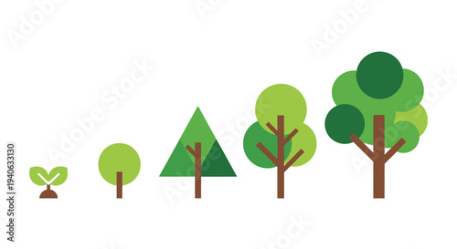 Illustrated growth stages of trees concept of development and evolution