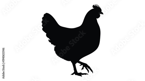 A black silhouette of a chicken standing on one leg