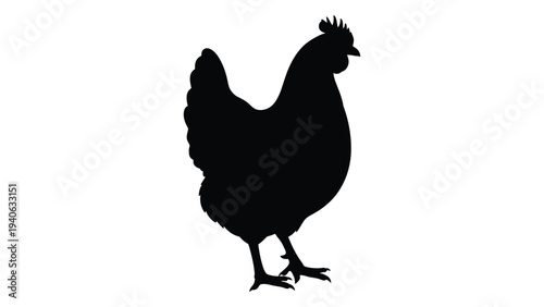 A black silhouette of a chicken standing on two legs