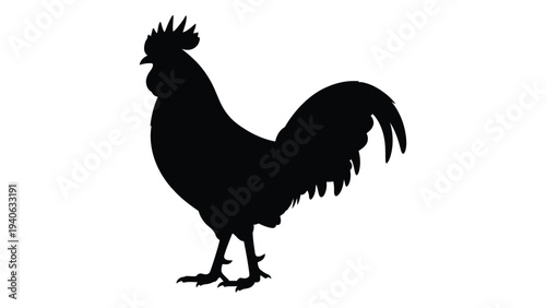 A black silhouette of a rooster standing on a surface