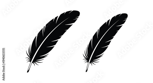Two black feathers displayed against a white background a striking silhouette