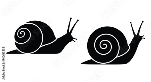 Two black snails with swirling shells are depicted in a dark silhouette