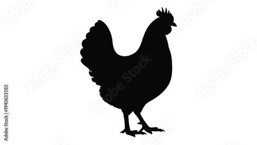 A black silhouette of a chicken standing on the ground