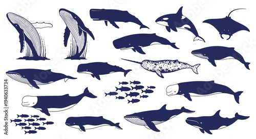 Set of 18 Hand-Drawn Marine Mammal and Fish Vector Illustrations Featuring Whales, Orcas, Narwhals, and Manta Rays for Ocean-Themed Designs