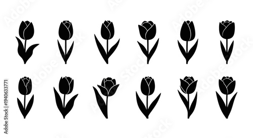 Set of 12 Black Tulip Flower Icons Vector Collection for Spring, Nature, and Floral Design Elements