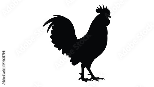 A black silhouette of a rooster standing