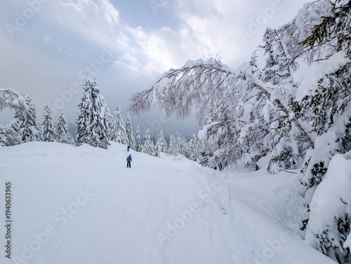Wallpaper Mural Passy Mont Blanc Ski Area Winter Alpine Landscape Torontodigital.ca