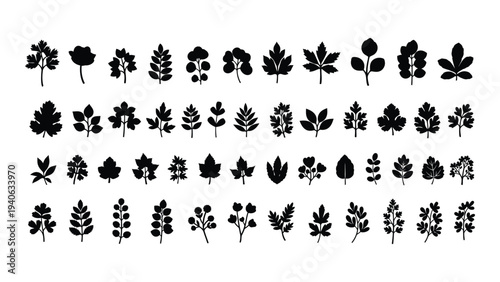 A collection of various pine tree leaf silhouettes