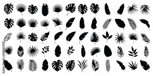 Assorted Tropical Leaf Silhouettes - Exotic Plant Vector Set