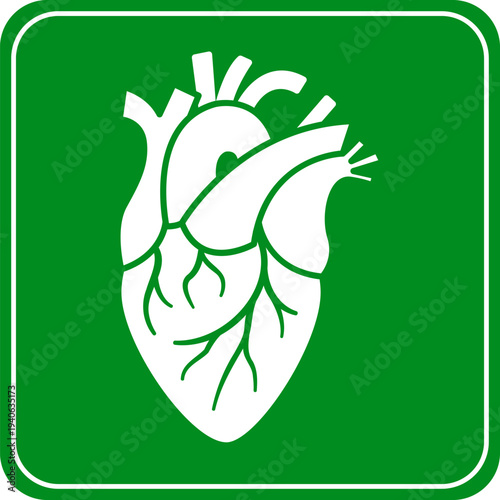 Anatomical Human Heart Medical Icon on Green Background – Healthcare and Cardiology Symbol