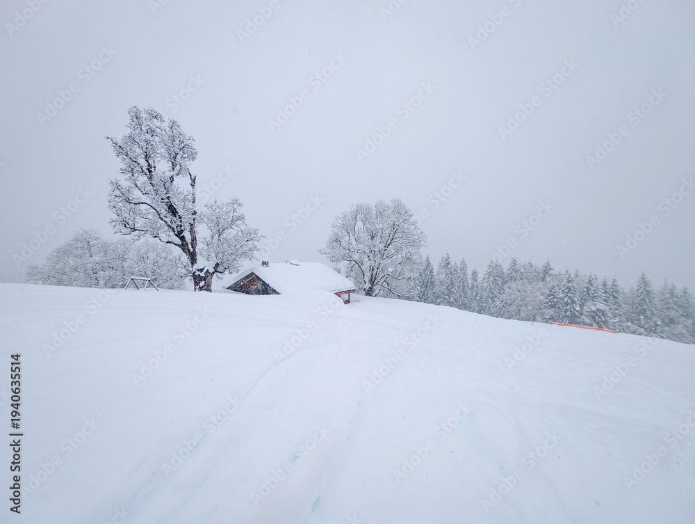Obraz premium Cordon Ski Slopes Winter Alpine Landscape