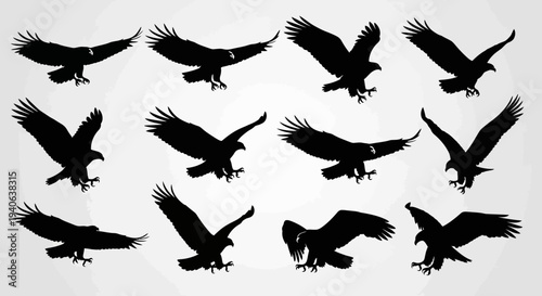 Set of 12 Flying Eagle Silhouettes Vector Collection for Wildlife, Freedom, and Power Concepts, Ideal for Logos, Graphics, and Branding
