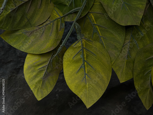 A leafy green plant with a few brown spots on it