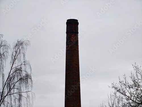 Minimal composition depicting weathered chimney surrounded by leafless branches and overcast sky