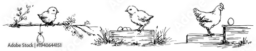 Detailed vector line art scenes featuring chicks a hen and easter eggs in various farm settings