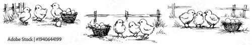 Set of hand drawn vector illustrations of little chicks and baskets of eggs on a farm