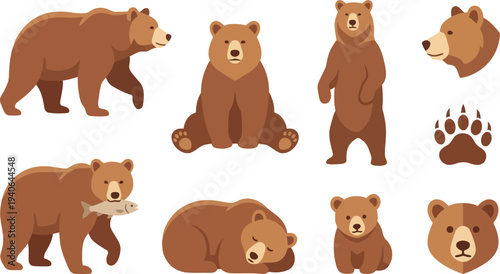 Collection of diverse brown bear illustrations showing various poses and actions including eating fish and sleeping isolated