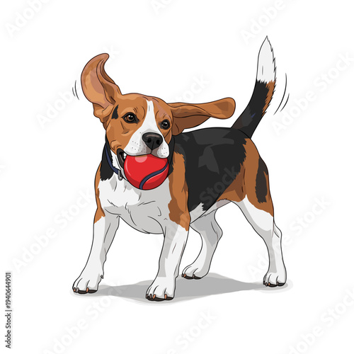Beagle playing with a red ball illustration