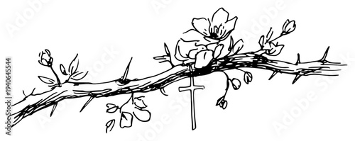 Hand drawn sketch of a thorny branch with spring flowers and a small christian cross