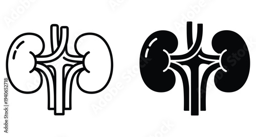 Human kidney organ icons set showing renal system anatomy for medical healthcare education biology science and urology health care graphic design