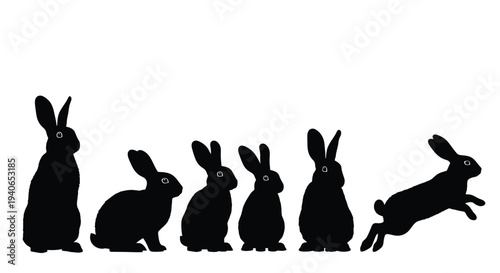 Rabbit silhouettes show various poses in sequence.