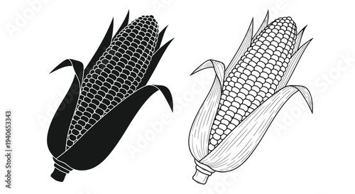 Two corn cobs depicted in contrasting black and white line art