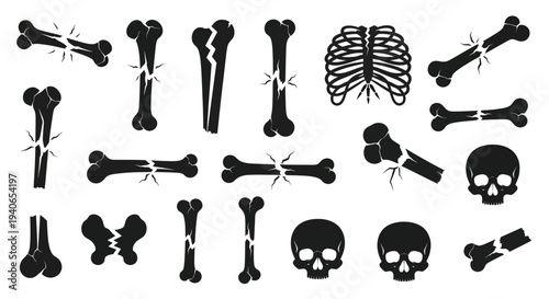 Fractured bones and skulls a graphic depiction of skeletal injuries