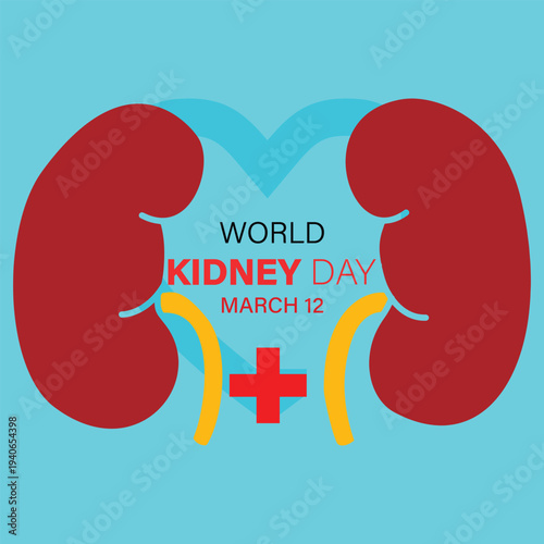 World Kidney Day vector illustration featuring two red human kidneys with heart shape background and medical cross symbol. Modern flat healthcare awareness design with March 12 date text on blue bg.