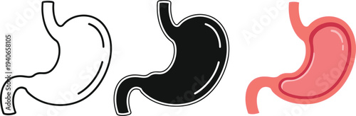 Human Stomach Anatomy Icon Set Featuring Line Art, Solid Silhouette, and Color Designs for Medical Health Education and Digestive System Infographics