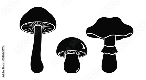 Black and white illustration of three different mushroom shapes